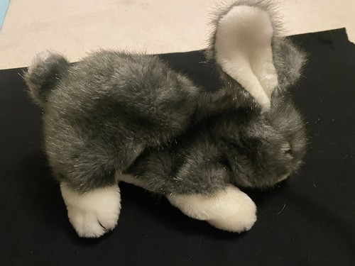 Soft grey white rabbit - white,