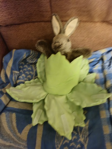 The puppet company - the, bunny