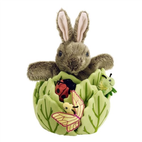 Rabbit lettuce with - rabbit, in